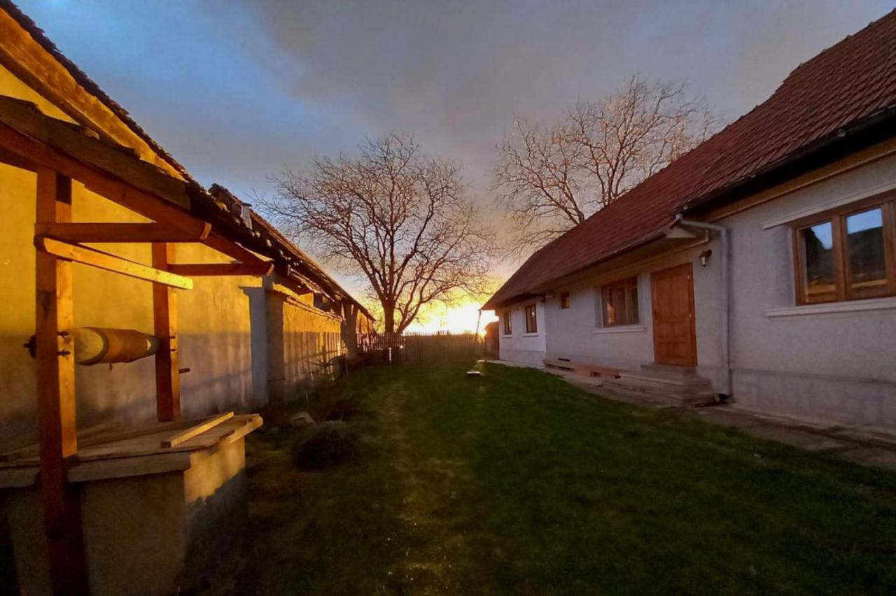 Galeria Turismului Montan Guest House คือร์ตีโชอารา ภายนอก รูปภาพ