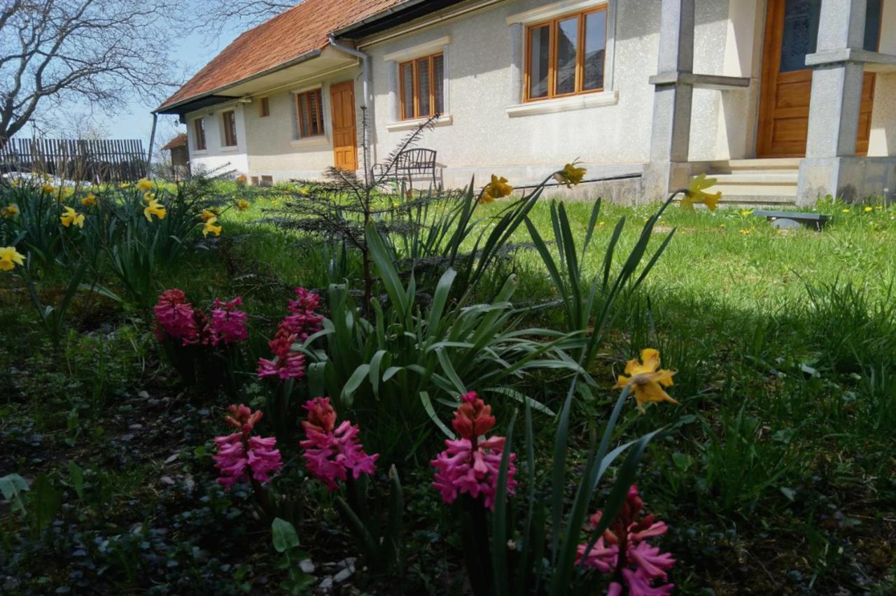 Galeria Turismului Montan Guest House คือร์ตีโชอารา ภายนอก รูปภาพ